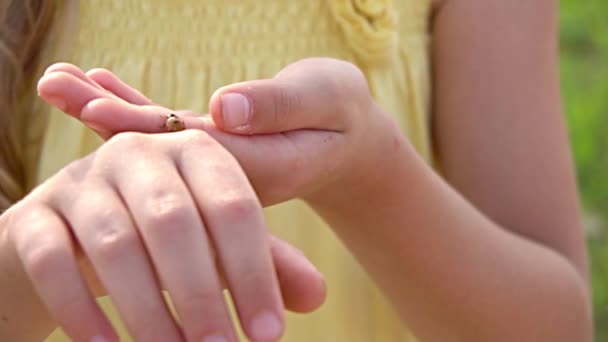Bug σχετικά με τα χέρια το κορίτσι — Αρχείο Βίντεο
