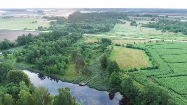 Pittoreska floden på morgonen — Stockvideo