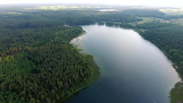 Beautiful lake aerial view — Stock Video
