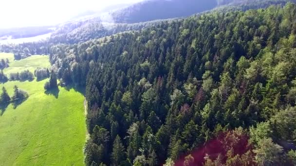 Luchtfoto van groene Bory-valleizicht — Stockvideo
