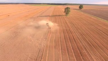 tarlada çalışan hasat