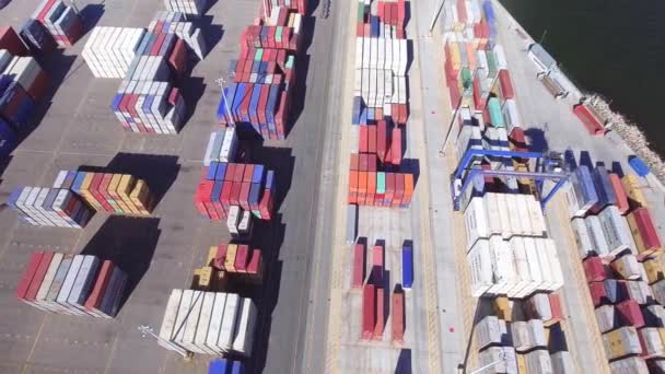 Vue aérienne du grand port de marchandises — Video