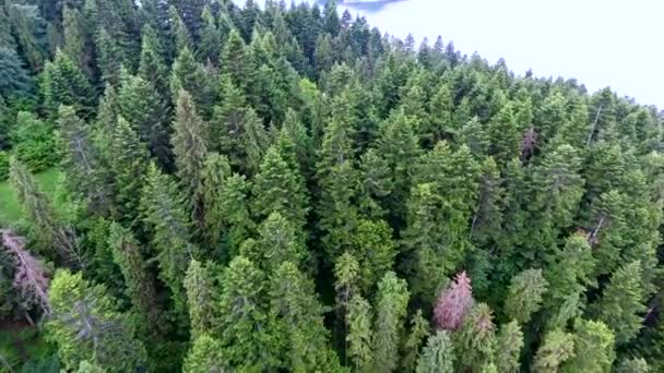 Aerial view of castle on lake bank — Stock Video