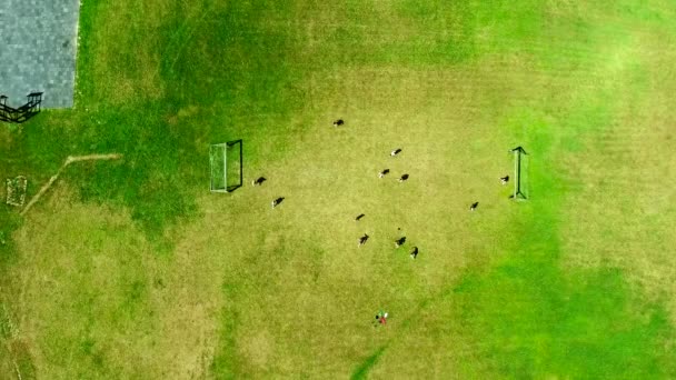 Gente jugando fútbol vista arriba hacia abajo — Vídeos de Stock