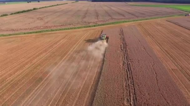 Harvester working in the fields — Stock Video