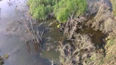 Bataklığı'nın havadan görünümü