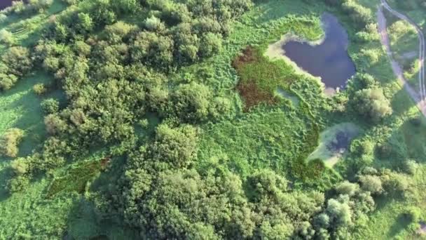 Paisaje terrestre aéreo del río en prados verdes — Vídeo de stock