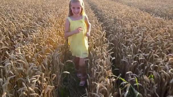 Linda chica en campo de trigo — Vídeo de stock