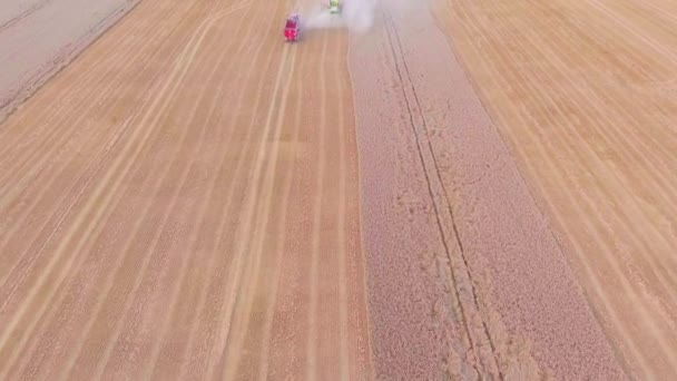 Harvester working in the fields — Stock Video