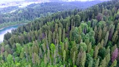 Forest Hills havadan görünümü