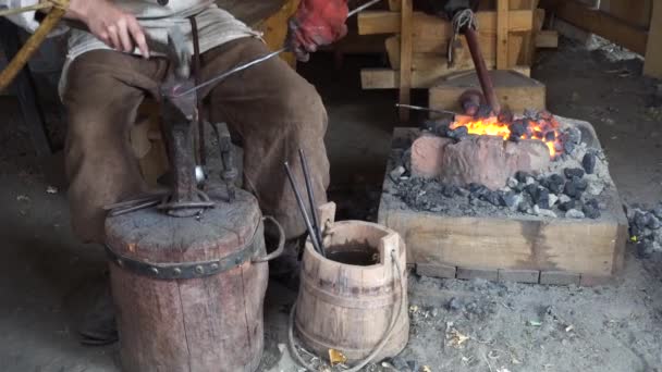 Kovács dolgozik a kovácsmuhelyben — Stock videók