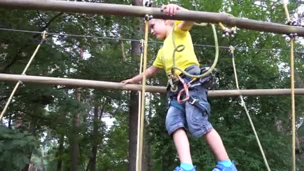 Niños jugando en el parque de aventuras — Vídeo de stock