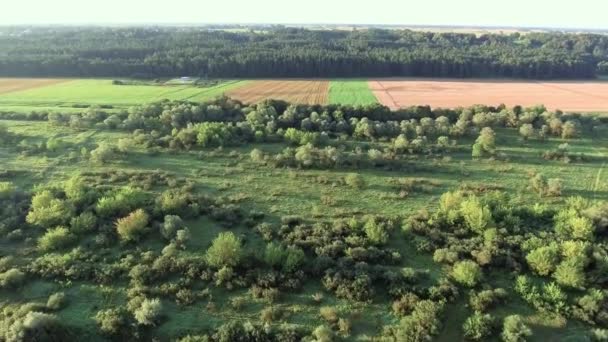 Paisaje terrestre aéreo del río en prados verdes — Vídeos de Stock