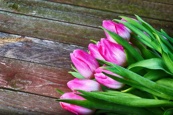 Kytice z čerstvých růžové tulipány — Stock fotografie