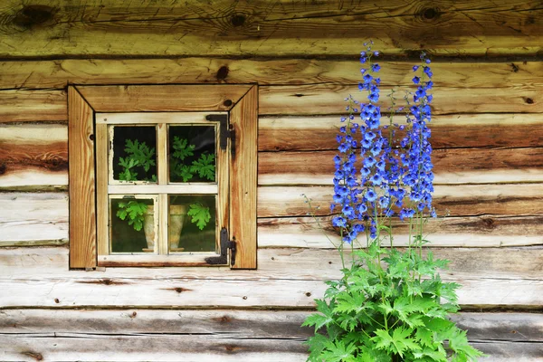 Old-fashioned window — Stock Photo, Image