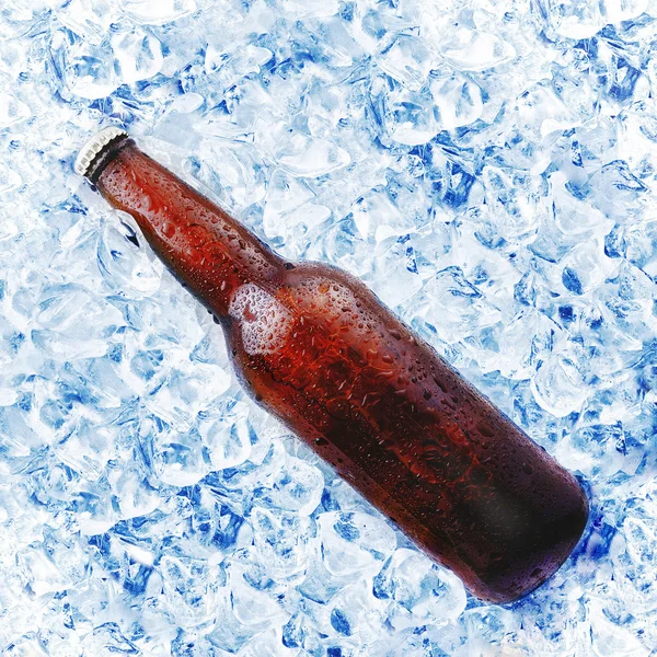 Beer bottle — Stock Photo, Image