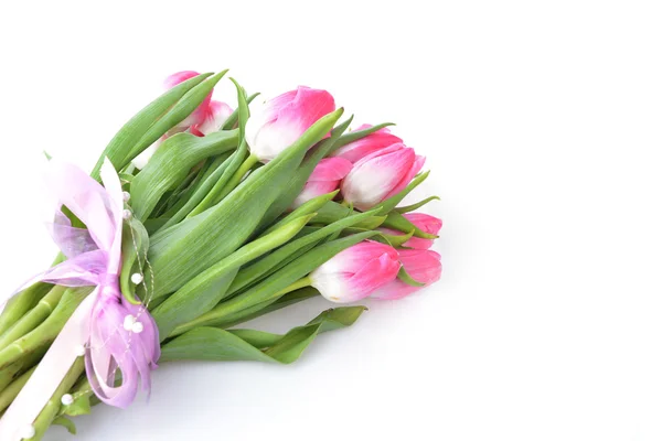 Roze tulpen — Stockfoto