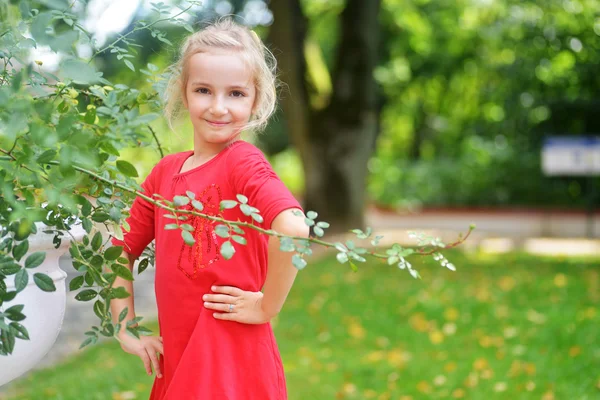 Menina no parque perto da rosa arbusto — Fotografia de Stock