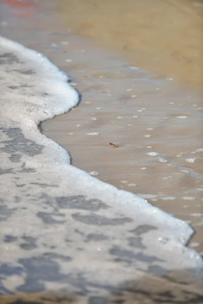 Sea shore — Stock Photo, Image