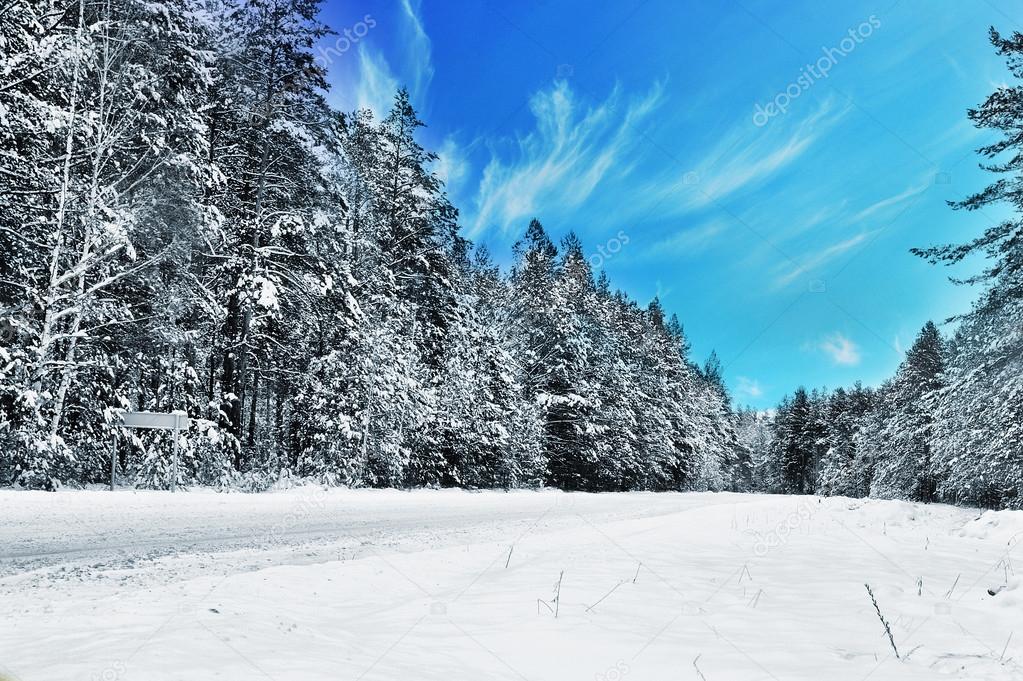  winter landscape 