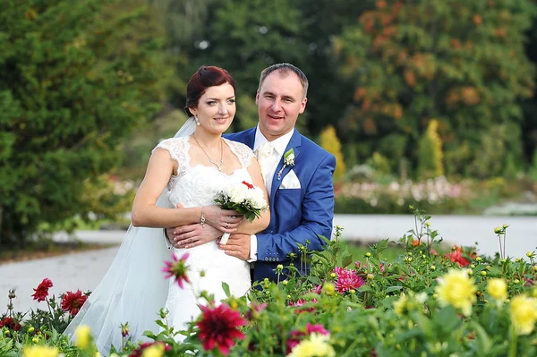 Ženich a nevěsta — Stock fotografie