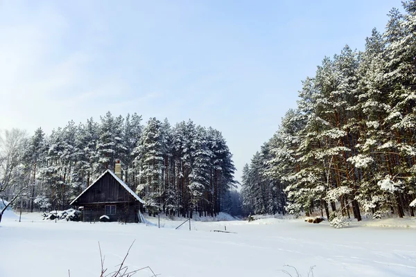 Winterlandschaft — Stockfoto