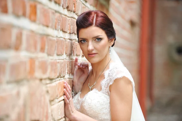 Beautiful  bride — Stock Photo, Image