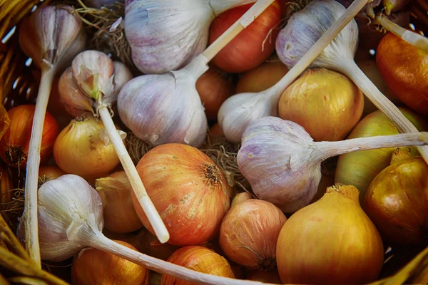 Zwiebeln und Knoblauch — Stockfoto