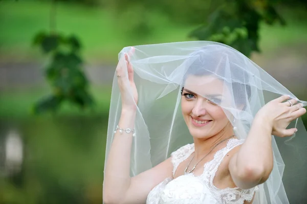 Beautiful  bride — Stock Photo, Image