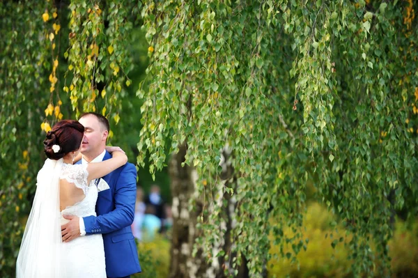 Groom and bride — Stock Photo, Image