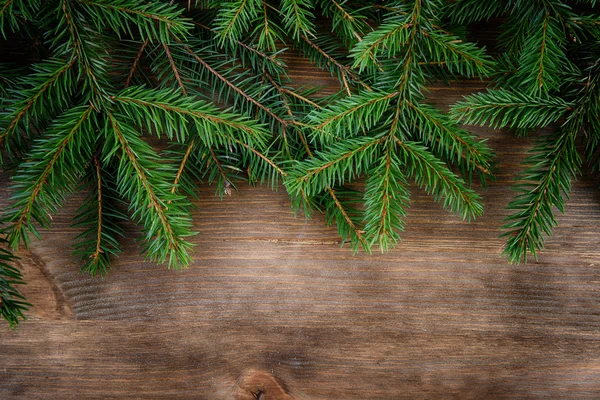 Yeşil çam ağacı dalları — Stok fotoğraf