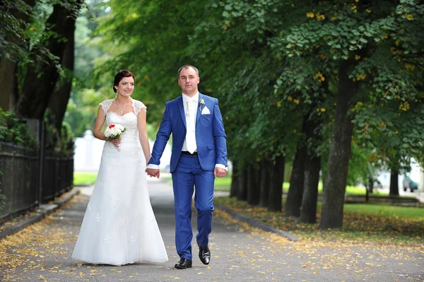 Wedding. Groom and bride — Stock Photo, Image