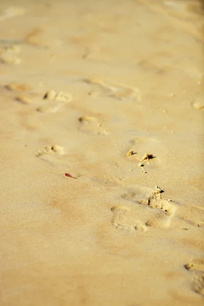 Texture sable jaune — Photo