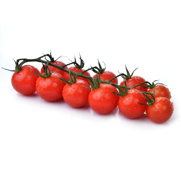 Červená rajčata s pobočkou — Stock fotografie