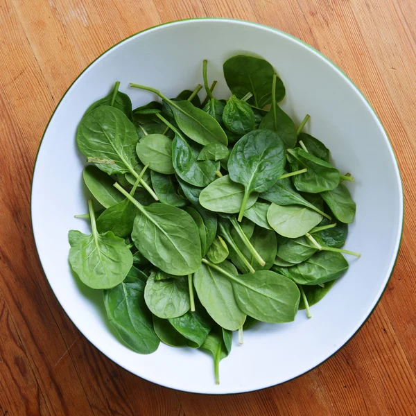 Fersk grønn spinat – stockfoto