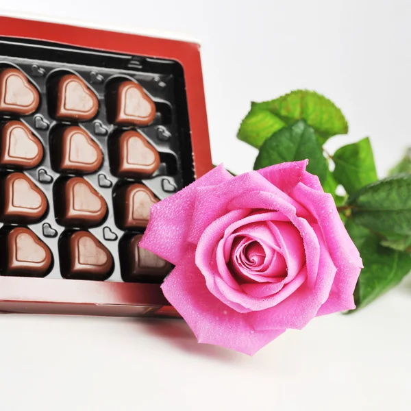 Chocolade en roze rose — Stockfoto