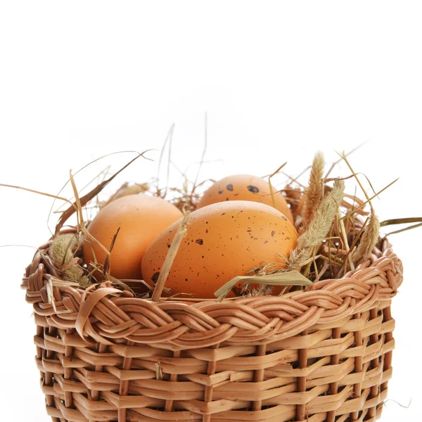 Hühner braune Eier im Weidenkorb — Stockfoto