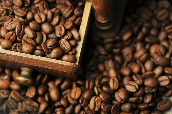 Koffie bonen in vak — Stockfoto