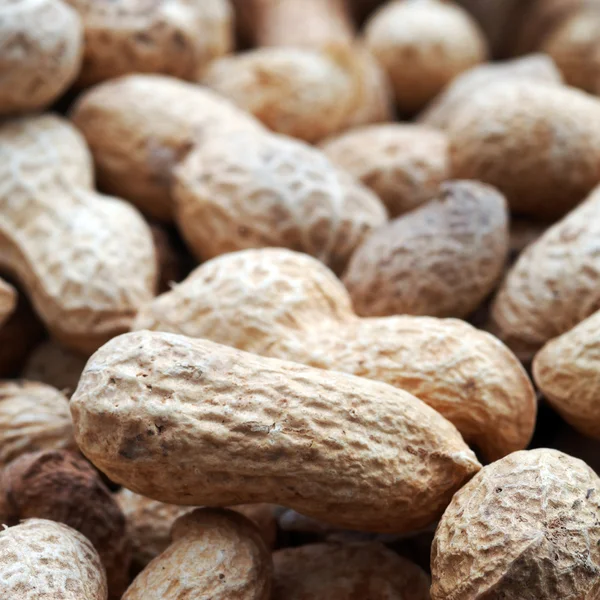 Geröstete Erdnüsse in der Schale — Stockfoto
