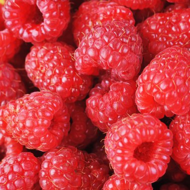 Olgun Kırmızı Ahududu