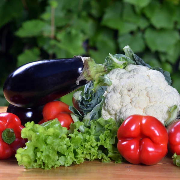 Fresh ripe vegetables — Stock Photo, Image