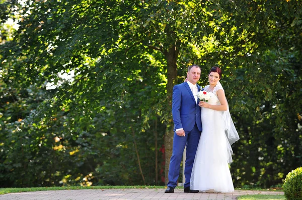 Boldog vőlegény és menyasszony — Stock Fotó