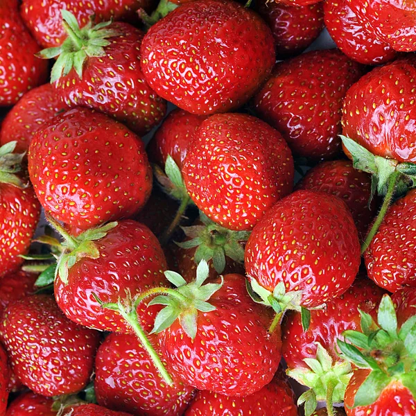 Rode strawberry achtergrond — Stockfoto