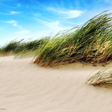 dunes üzerinde beyaz bulutlar
