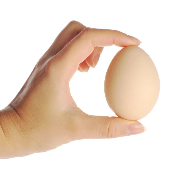 Hand holding egg — Stock Photo, Image