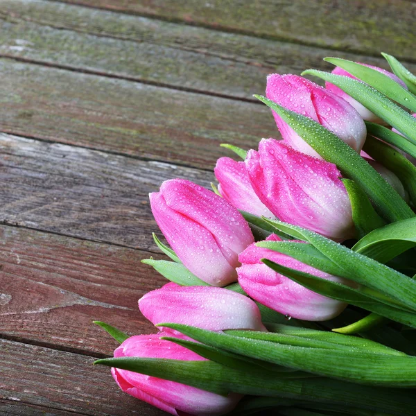 Kytice z čerstvých růžové tulipány — Stock fotografie