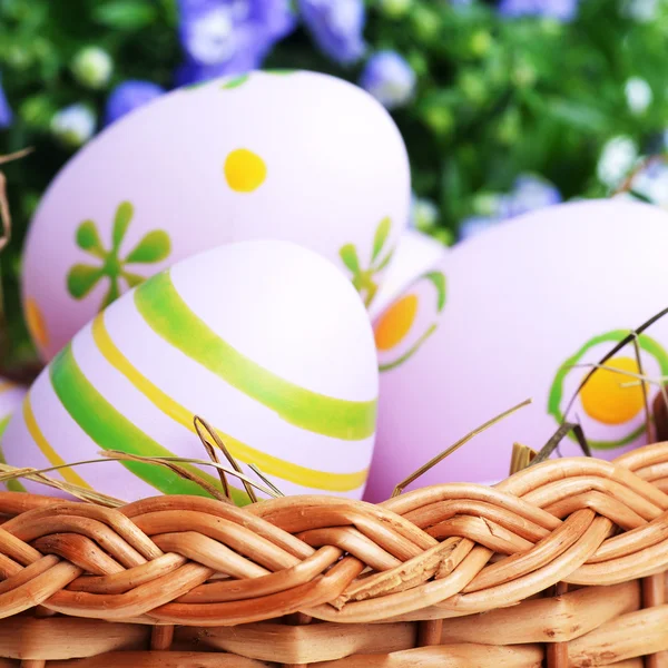 Flowers and easter eggs — Stock Photo, Image