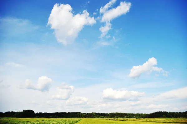 Céu, nuvens e árvores — Fotografia de Stock