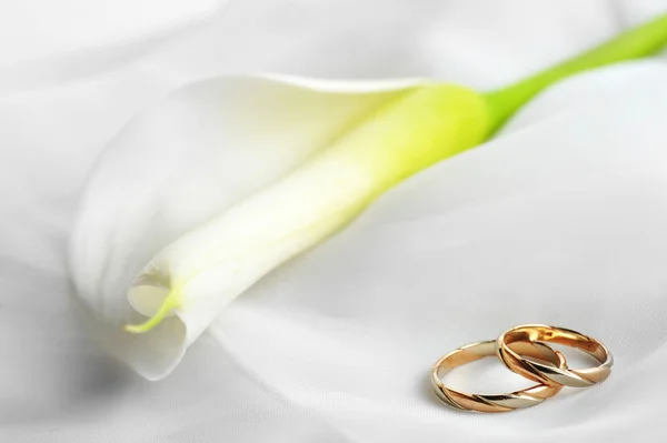 Tela blanca y anillos de boda — Foto de Stock