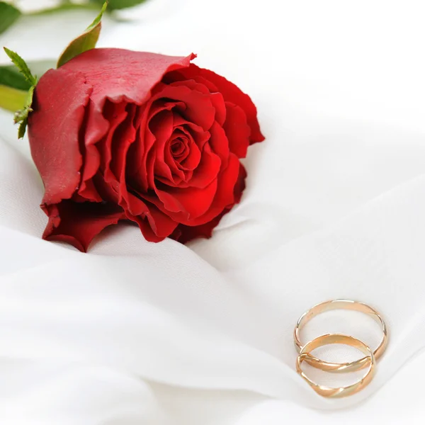 Rose a snubní prsteny Royalty Free Stock Fotografie